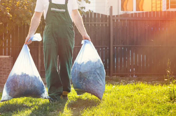 Best Same-Day Junk Removal Services  in Haines, AK